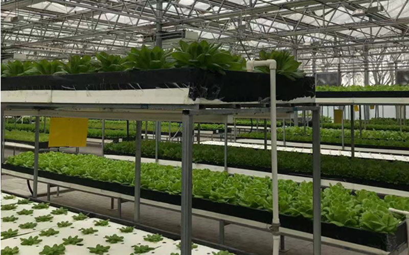 南宫NG·28(集团)相信品牌实力有限公司